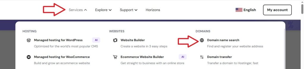 hostinger services - domain search